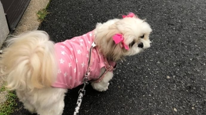 待ちぼうけの1週間? なわけで・・