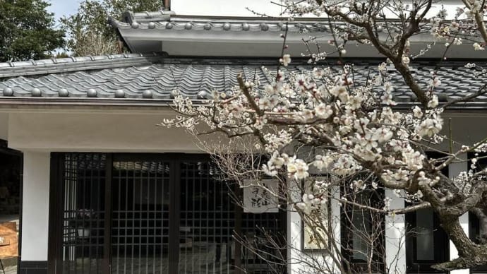 花粉症の症状を報告しておこう