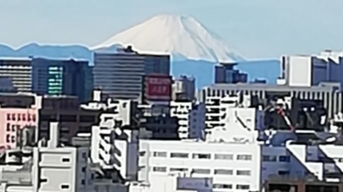サッカーワールドカップ2022