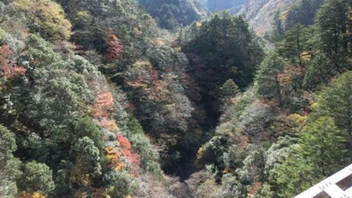 「ゆるキャン△」に登場しない大井川鐡道を巡る その45 接岨峡温泉駅まで
