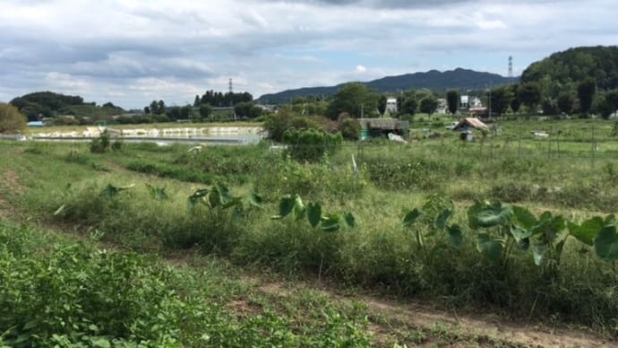 地元の良さを再認識したプチ山岳ライド!(速報)