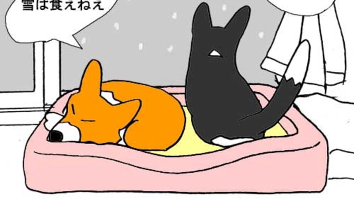 今年も大変お世話になりました、来年もよろしくお願いします