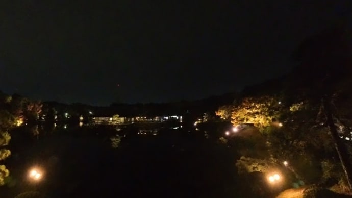 大仙公園 日本庭園ライトアップ(2024年11月16日)