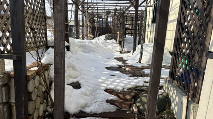 🅰-17.今年の春分の日の積雪は?➨まだ30cm!