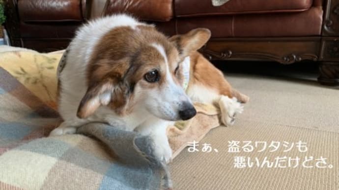 やられたら倍返し！