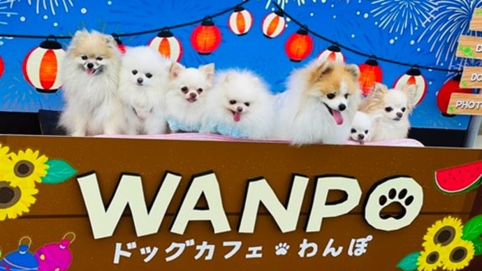 モーニングからランチ・・・@ワンポ