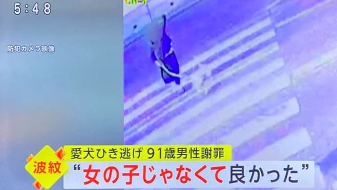 愛知で91歳のクソジジイが犬を轢き殺して逃走 挙句の果てに「轢いたのが少女で無く犬で良かった」抔と暴言💢💢