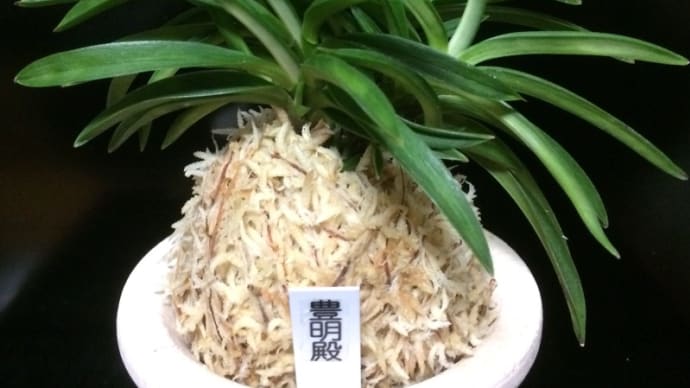 豊明殿