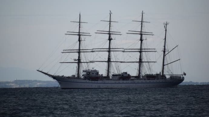 帆船日本丸が館山湾に碇泊