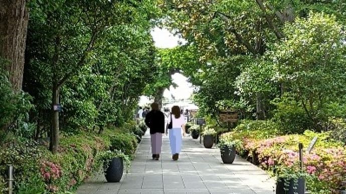 もう、この島サ いっ旦離れた方が良かねェ?🐉