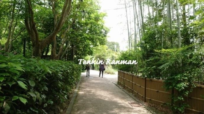 化野念仏寺 *京都 嵯峨嵐山*