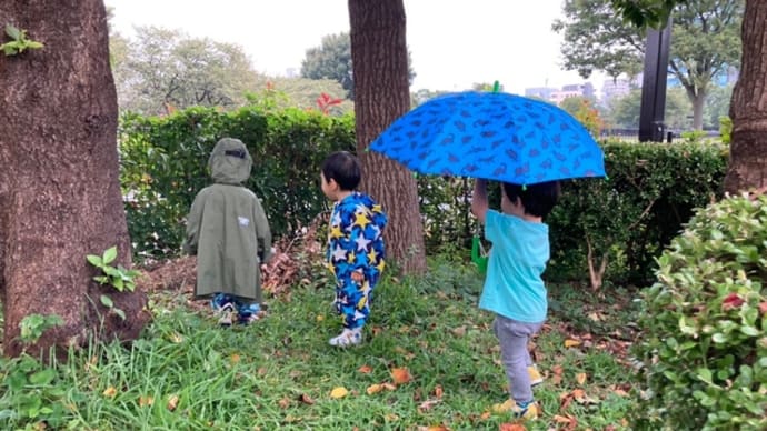 10月の活動記録