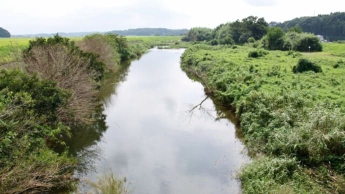 山田川(2021年-2)