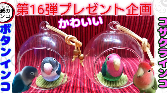 【第16弾プレゼント企画】ボタンインコ&コザクラインコ 造形 フィギュア