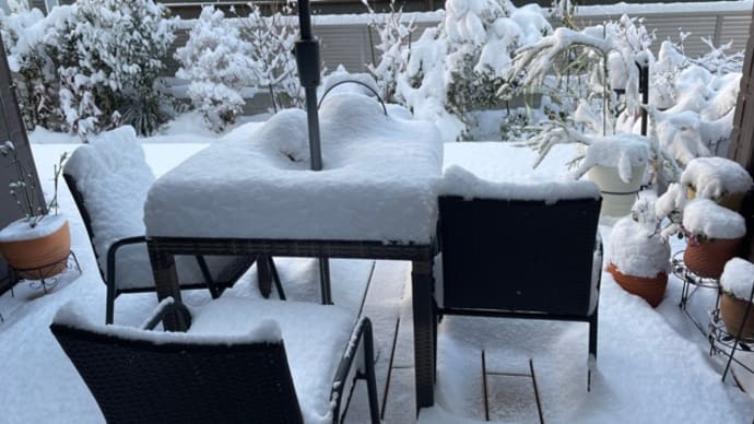 大雪の朝