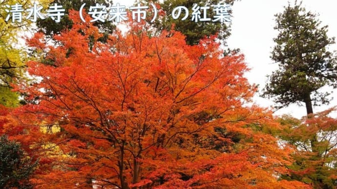 清水寺(安来市)の紅葉 最終章