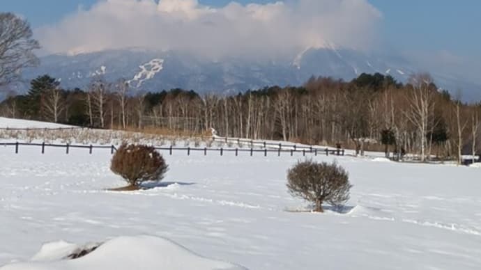 鳥のさえずりが聞こえてきます。