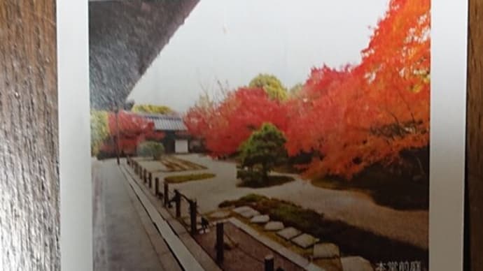 #358 -’22. 南禅寺・塔頭の素敵な天授庵