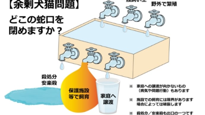保護譲渡で動物たちの夜は明けない