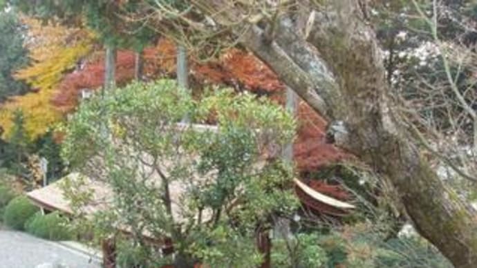 船岡山あたり