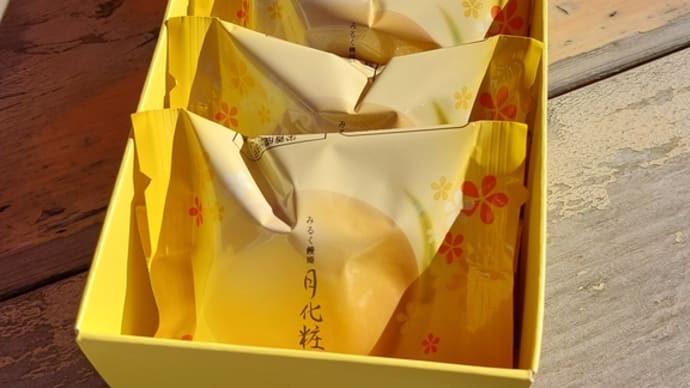 銚子電鉄の新作おみやげ
