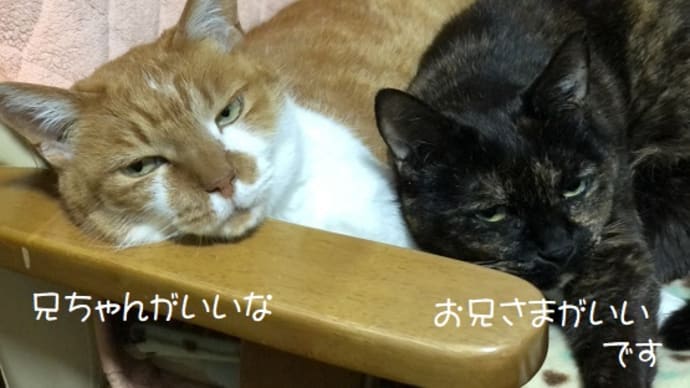 意見が一致