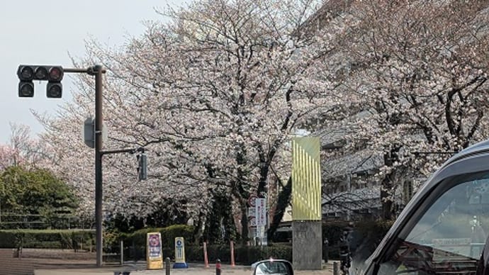 先週末から低調