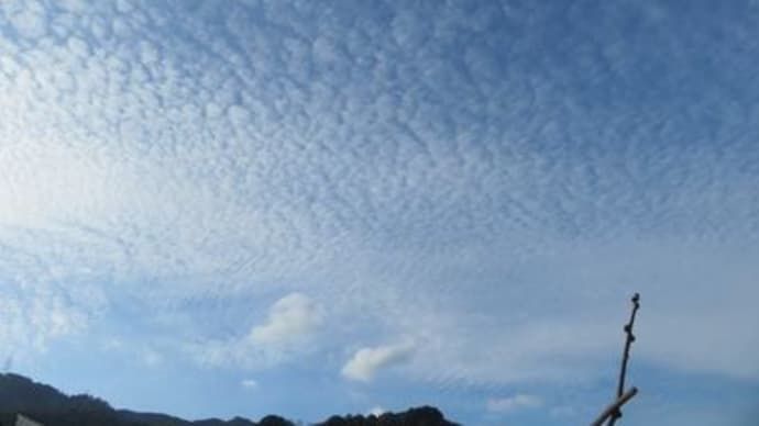上を向いたり足元を見たり