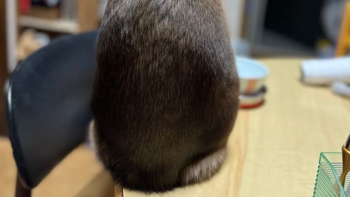 硬さの平均って