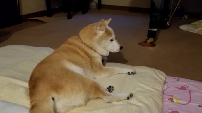 涼しいね~