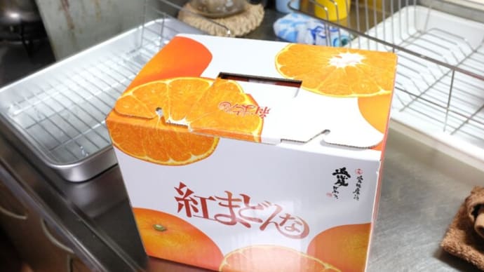 ウチ食べしま専科:予約していた紅まどんな 匠と極 L-2L 1.2kg 6-5玉 中島産が到着!まさに“樹になるゼリー”でした!