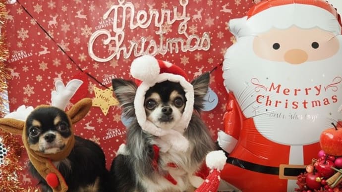 Merry Christmas♪