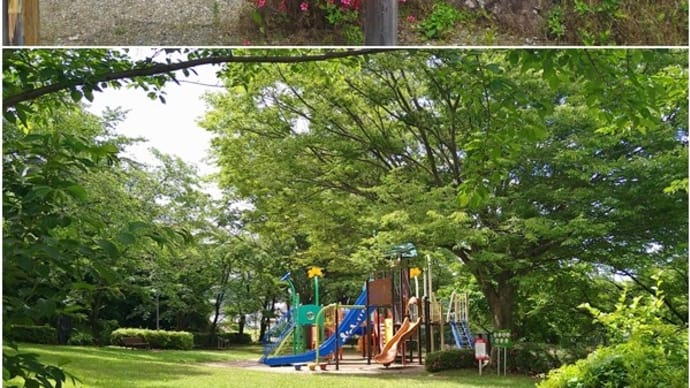 あやめ公園 安曇野市明科