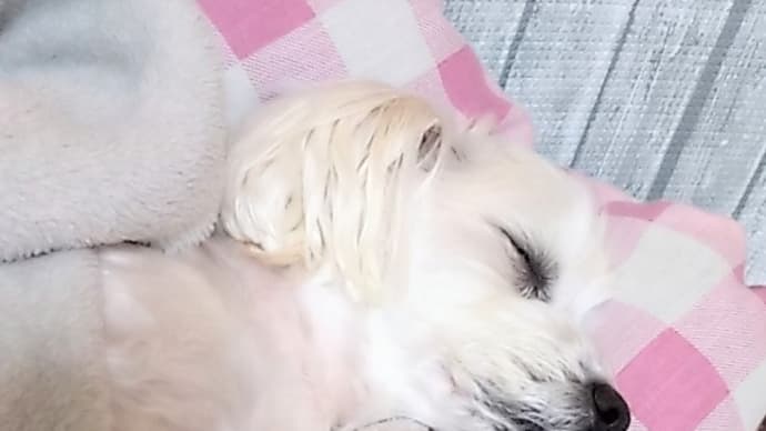 ご近所さんとのいろいろ。の事。