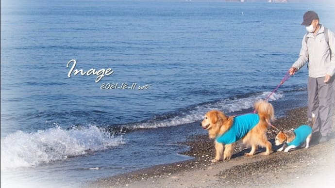 稲毛の浜。浜灯台へ~°˖✧◝(⁰▿⁰)◜✧˖°