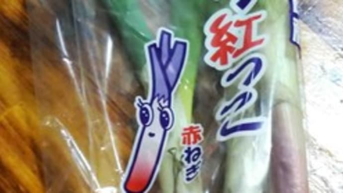 赤ネギが売っていました
