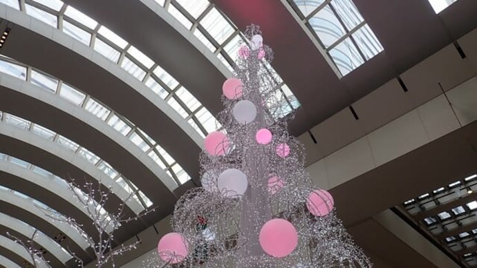 クリスマスまであと1週間ですね