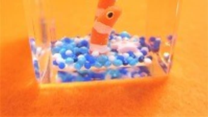 ♪♪ 新作のニシキアナゴが