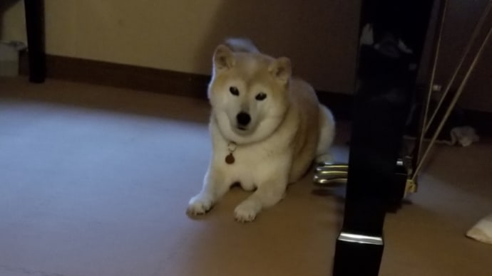 今朝も冷たいクリン