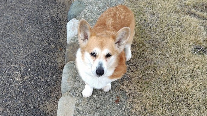 さあ、もう1日!!