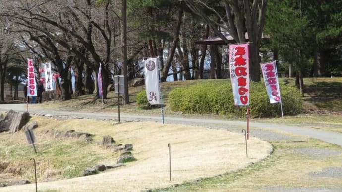 陽射したっぷり、のんびりと公園散歩!
