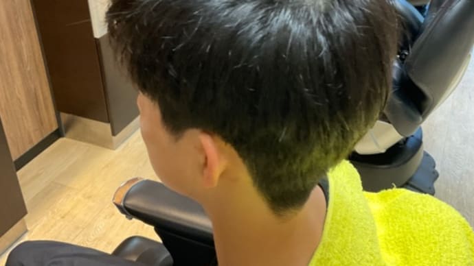 THE BARBER OF PH7