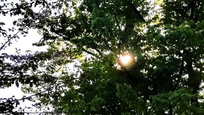 AIがもたらす近未来④