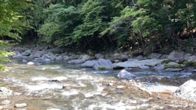 道志川で釣りキャン