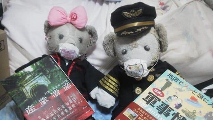 昭文社さんの 株主優待が届きました