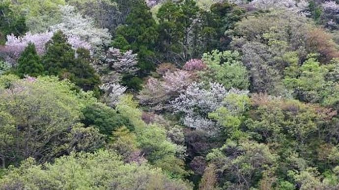 4月二回目の教室 萌えいずる