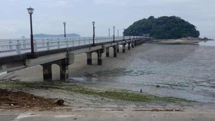 蒲郡・竹島でスケッチ