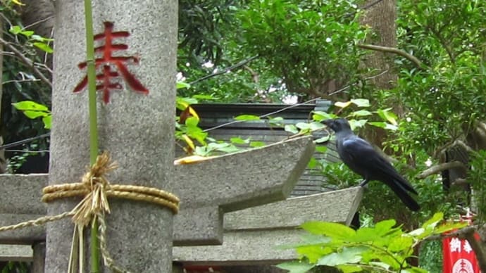 神社参拝日記・江東天祖神社