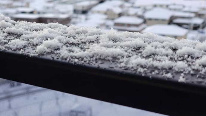 連日の雪の朝に一喜一憂