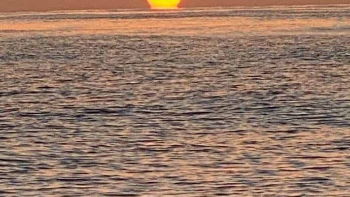 R5 1月宇治群島、鷹島